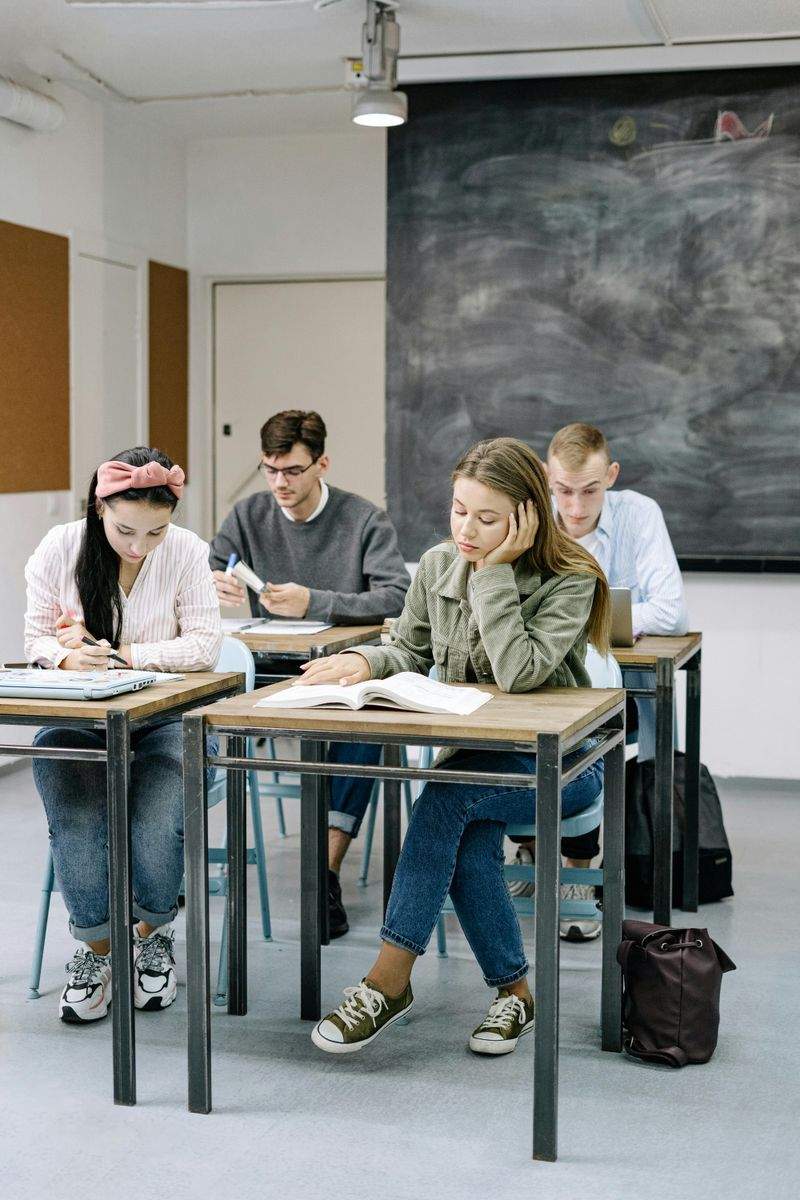 Educazione Avanzata Italiana - Image 3